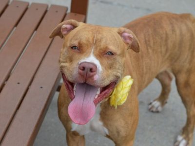 CASH – A1050861 (ALT ID A1080506)