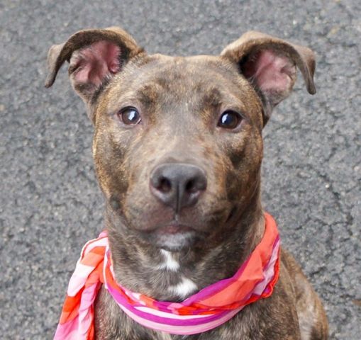 MILLY – A1063195