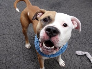 RUCKIE - A1063667