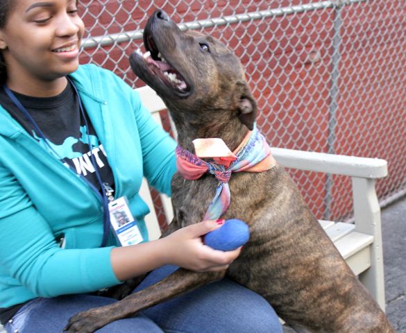 MOCHA A1072993