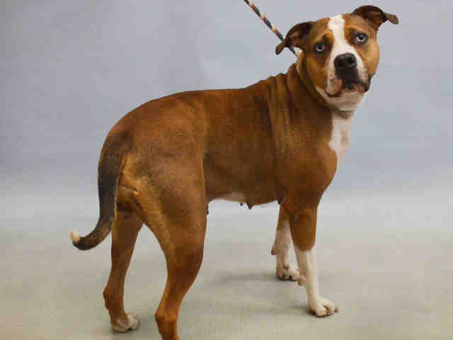 Samantha – A1080576