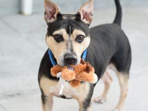 REIGN – A1115018