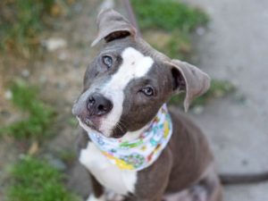 LUCY - A1115119