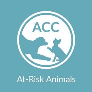 ACC'S "AT RISK" FB PAGE & WHAT YOU NEED TO KNOW ABOUT IT